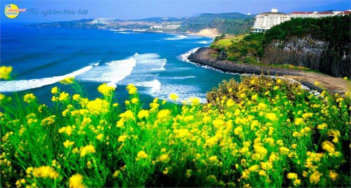 Tour Seoul - Đảo Jeju - Everland - Đảo Nami 2023